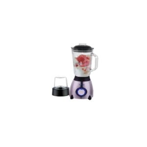 Flourish Super Blender Fl-B308 3.1